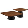 Eason 2-piece Coffee Table Set Walnut And Black For Cheap