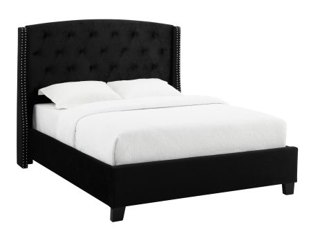 Eva Black Velvet Queen Upholstered Bed Online