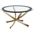 Brooke 2-piece Round Glass Top Coffee Table Set Brass For Discount