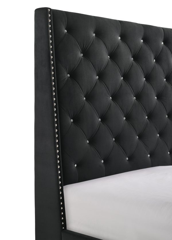 Chantilly Black Velvet Queen Upholstered Bed Sale