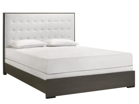 Sharpe Brown Queen Upholstered Panel Bed Supply