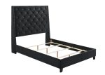 Chantilly Black Velvet Queen Upholstered Bed Sale