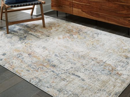 Danvore 8  x 10  Rug For Cheap