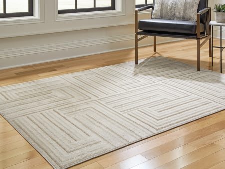 Darmondard 8  x 10  Rug Cheap