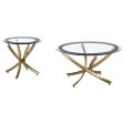 Brooke 2-piece Round Glass Top Coffee Table Set Brass For Discount